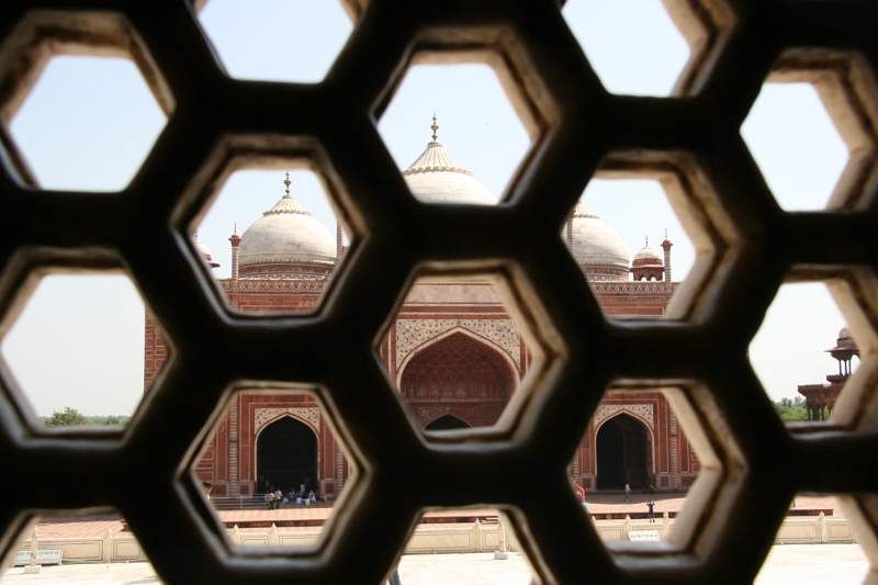 India & Nepal 2011 - 1198